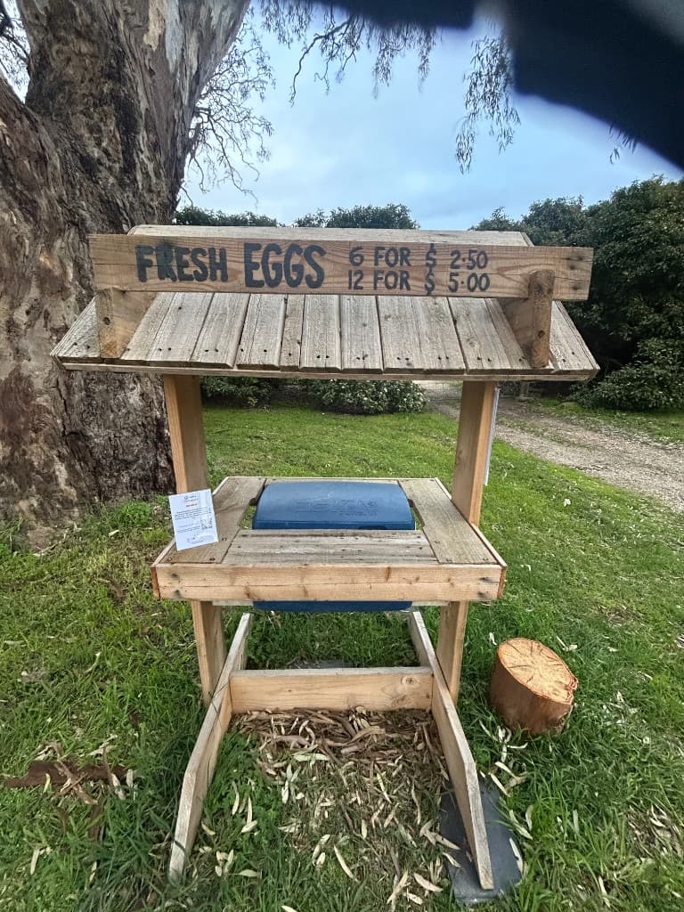 Handmade wooden roadside egg stand with a FRESH EGGS sign, cooler of eggs, and Vendl QR flyer on the counter